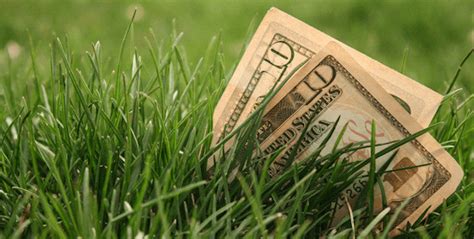 They view themselves as a part of a community, and believe the service they provide should benefit those they. Should you Mow the Lawn or Pay A Service?