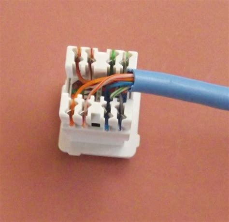 terminating cate cable   jack wall mount  patch panel