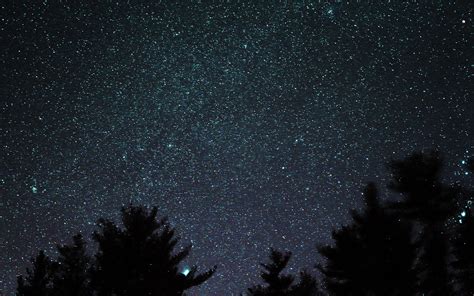 ng57-night-sky-star-space-starry-wood-dark-romantic-wallpaper