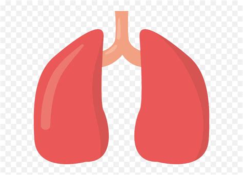 Animated Lungs Png Image Arts Animated Lungs Png Animated Png Free