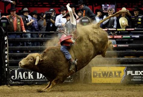 professional bull rider dies as the bull stomped on his chest winnerz circle