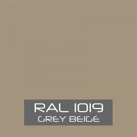 RAL K7 1019 Grey Beige DBNZ