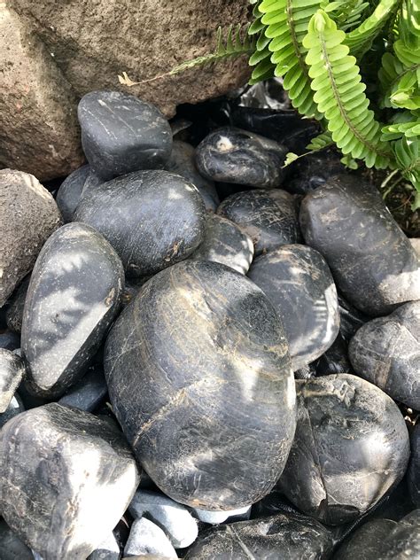 Love These Niu Black River Rocks To Accent The Garden Black River