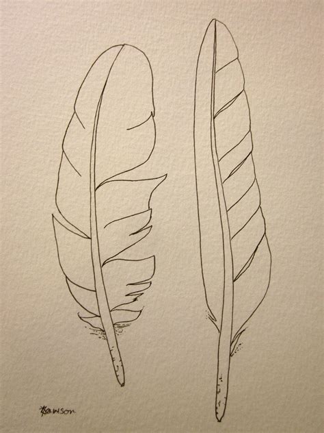 Original Ink Feather Drawing ~ 2 Sea Bird Feathers Patterns Feather