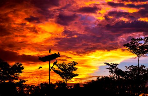 Free Photo Twilight Clouds Sky Orange Outdoor Free Download Jooinn