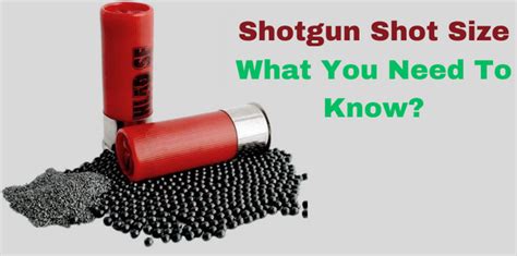 Shotgun Shot Size Chart Guide To Choose The Right Shot