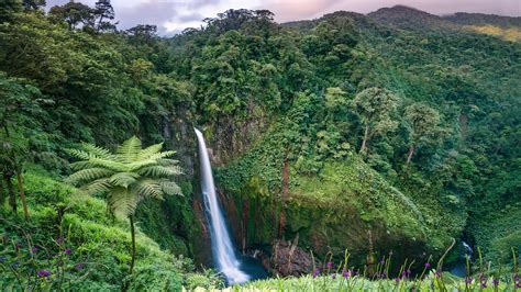 Costa Rica Rainforests 6 Best Experiences Tripadvisor