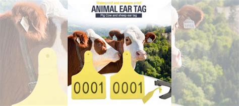 Rfid метки для животных, считыватели, микрочипы купить в Москве ...