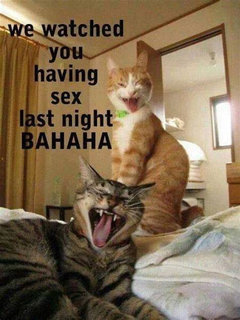 Beware Of Animals With Funny Captions 28 Pics