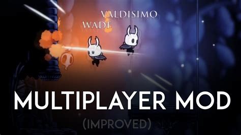 The Hollow Knight Multiplayer Experience Youtube
