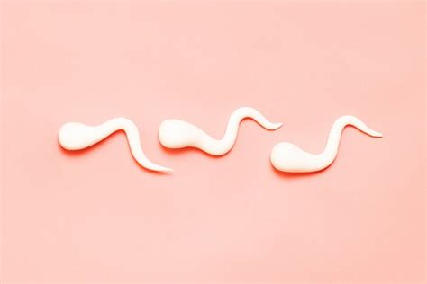 10 Sperm Facts Everyone Should Know