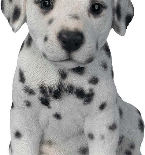 Cute Puppy Cute Puppy Dog Clip Art Library Techflourish Collections