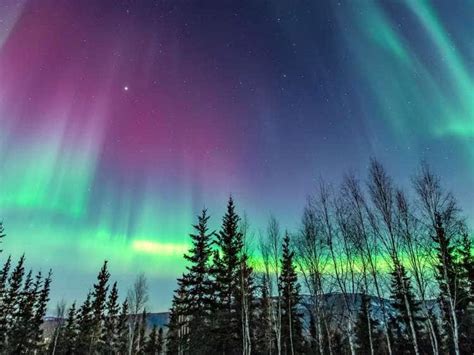 Best Time To See Northern Lights In Fairbanks