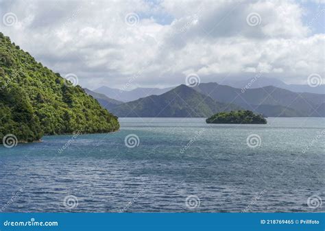 Queen Charlotte Sound Stock Image Image Of Sunny Bush 218769465