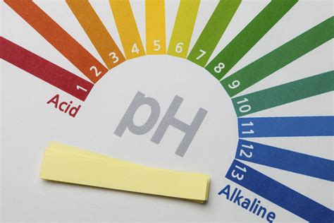 How To Maintain Ph Balance In The Body