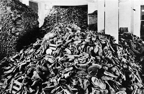 Horrors Of Auschwitz The Numbers Behind Wwiis Deadliest Concentration