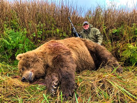 Alaska Peninsula Brown Bear Hunt Quality Hunts