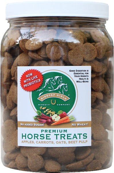 Giddyap Girls Biscuit Company Premium Apple Horse Treats 2 Lb Jar
