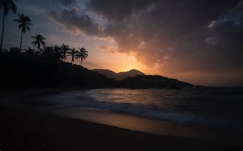 Download Wallpaper 3840x2400 Ocean Palm Trees Sunset