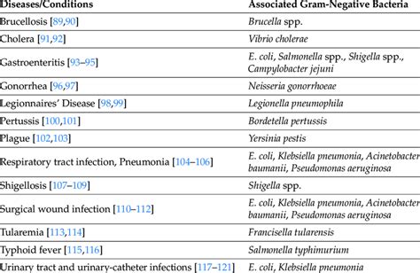 Major Gram Negative Bacteria Pathogens As Causative Agents Of Bacterial