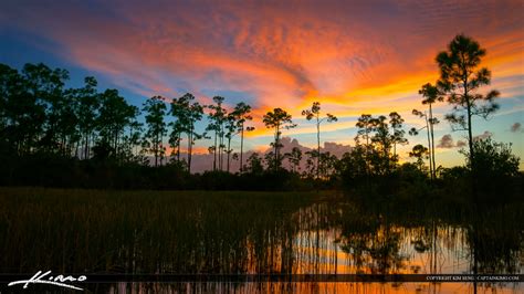 Florida Sunset Pine Forest Wetlands Wide Hdr Photography By Captain Kimo