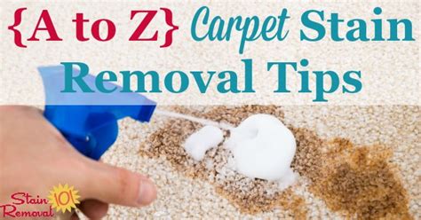 Simple add a reasonable amount of bleach into a a few out there might be looking for tips on how to remove turmeric stains from carpets, share this article and save them the stress. {A-Z} Carpet Stain Removal Tips