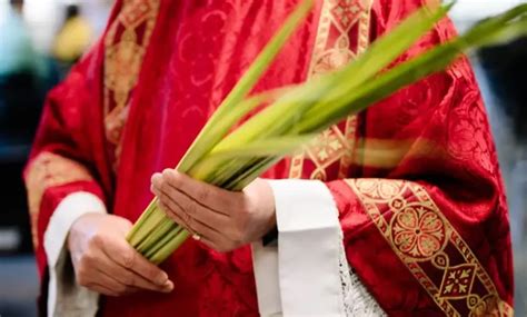 9 Datos Que Todo Católico Debe Saber Sobre El Domingo De Ramos