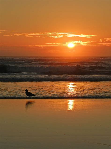 Sunset At Ocean Shores In Washington State Ocean Shores Washington