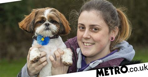 Animal Rescue Centre Asks For Donations To Help Shih Tzu Run Again