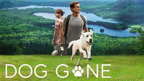 Dog Gone Il Trailer Del Film Netflix Ispirato A Una Storia Vera