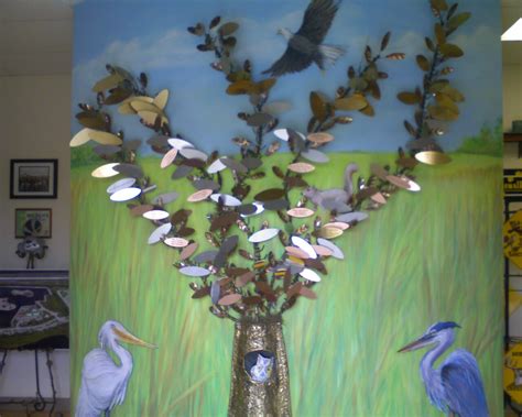 Tree Of Life Sawgrass Nature Center And Wildlife Hospital