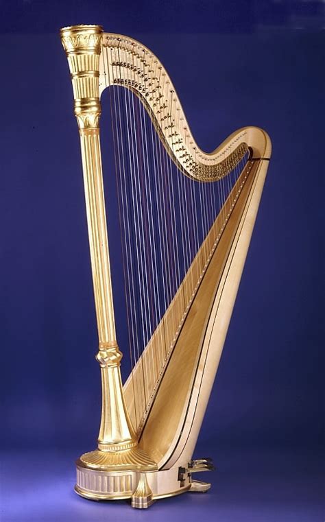 Gitar, harpa, mandolin, ukulele, banjo, siter, kecapi bas, biola, viola, cello, double bass, rebab dan piano akustik. Top 10 Musical Instruments of the 18th Century