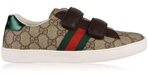 Gucci Canvas Junior Unisex New Ace Web Trainers In Brown For Men Lyst