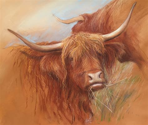 We Have Just Published New Lesson Highland Cows By Artist Rebecca De