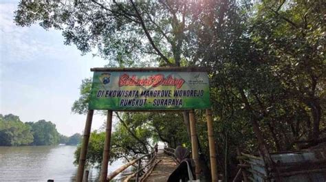 Ekowisata Mangrove Wonorejo Referensi Wisata Alam Di Surabaya