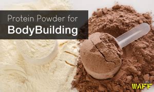 How Does Protein Powder Help In Bodybuilding