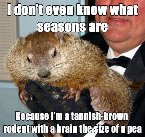 Punxsutawney phil is a groundhog in punxsutawney, pennsylvania who is the central figure in the borough's annual groundhog day celebration. Punxsutawney Phil 'indicted' for lying about early spring