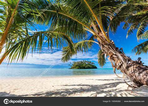 Beautiful Tropical Beach Palm Trees White Sand Turquoise Ocean Water