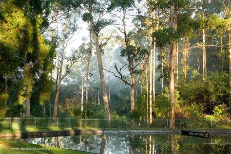 Pemberton mountain bike park, aadress — lot 12183 swimming pool rd, pemberton wa 6260, austraalia, telefon (08) 9776 1133, lahtiolekuajad. Karri forest activities experiences - Finding the best places