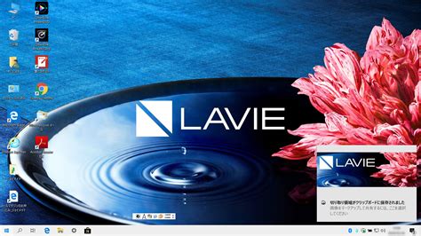 Download Lavie Images For Free