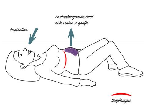 Exercice De Respiration Ost Opathe Paris Et Paris