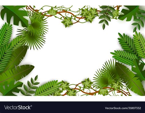 Rainforest Border Clip Art