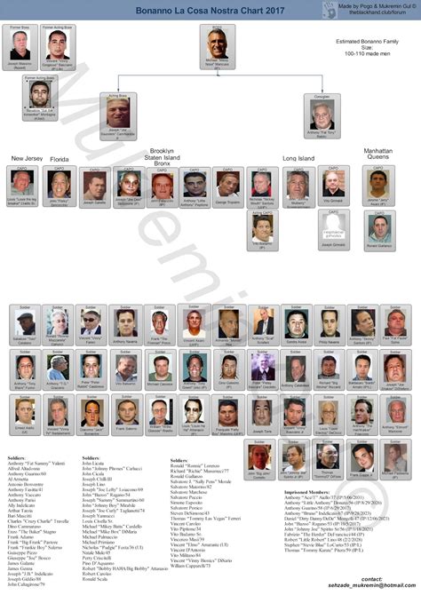 current leadership charts of the five families ~ five families of new york city