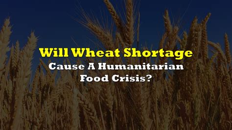 Will A Wheat Shortage Cause A Humanitarian Food Crisis The Deep Dive