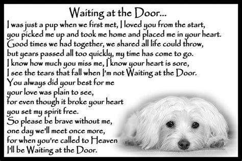 Maltese Dog Pet Loss Memorial Bereavement Fridge Magnet Gift | Etsy