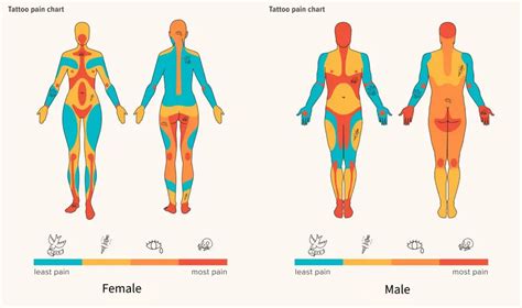 Discover More Than 82 Do Leg Tattoos Hurt Latest Esthdonghoadian