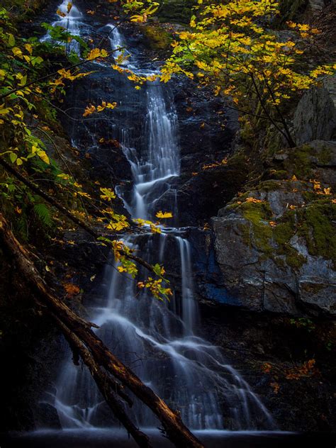 Fall Colors Boulder Creek Falls Photograph By Michele James
