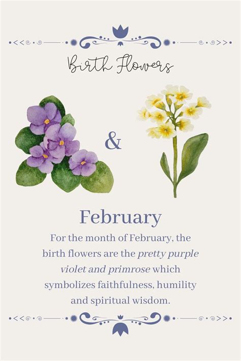 Celebrate February With The Beautiful Birth Flowers
