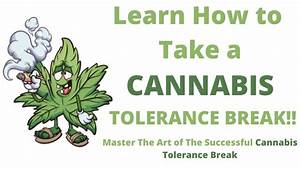 Learn How To Take A Tolerance Break From Cannabis