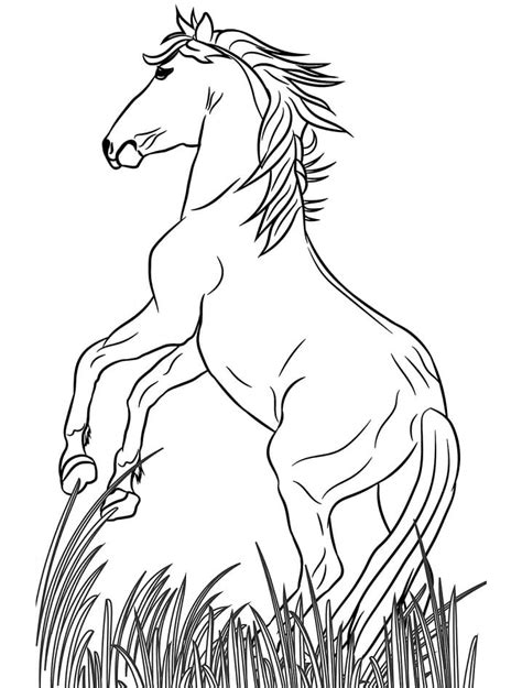Wild Horses Coloring Pages Home Design Ideas